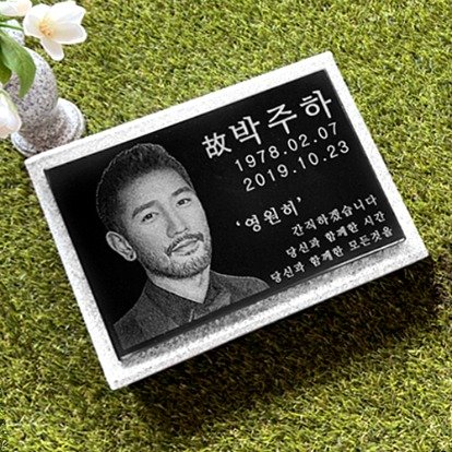 강아지비석추천